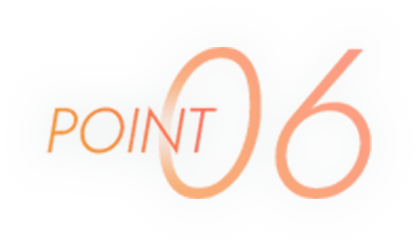 point06