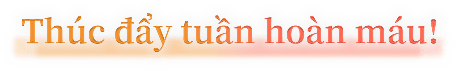 Thúc đẩy tuần hoàn máu!