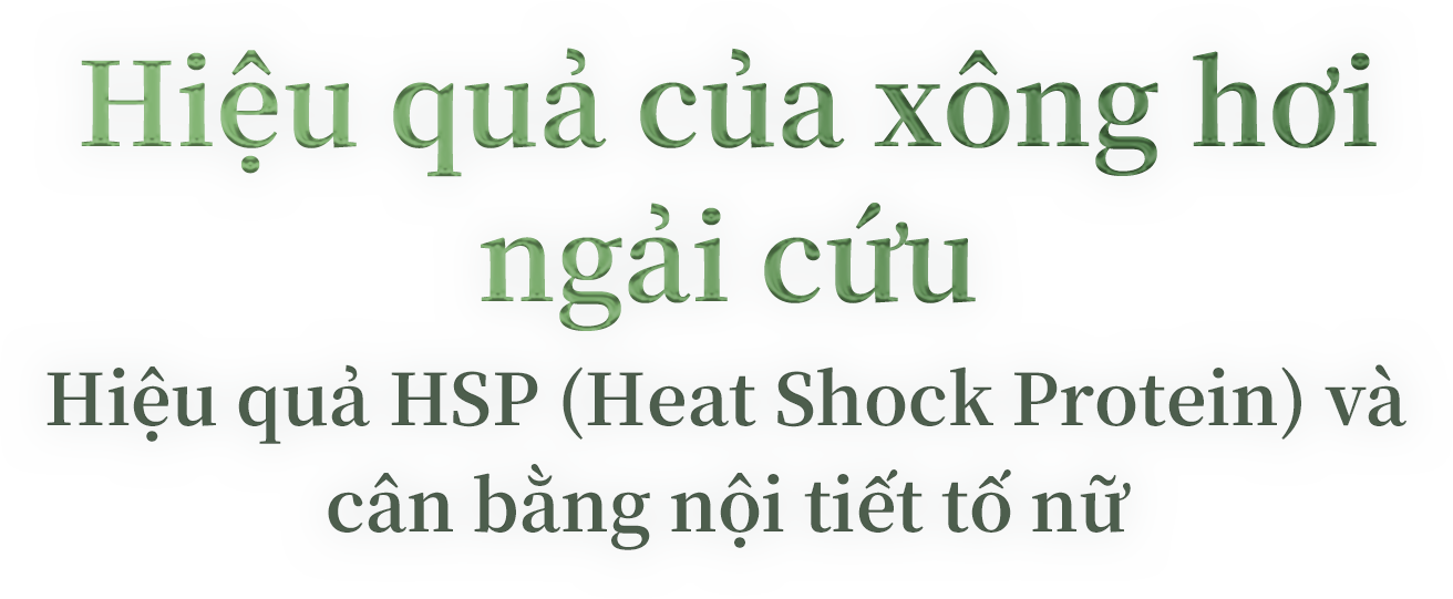 Hiệu quả của xông hơi ngải cứu